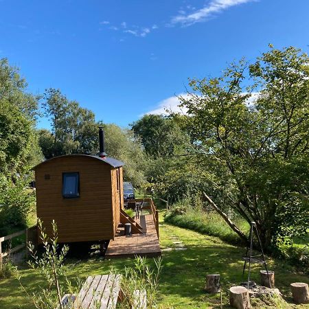 Herdwick Shepherd Hut إكزيتر المظهر الخارجي الصورة
