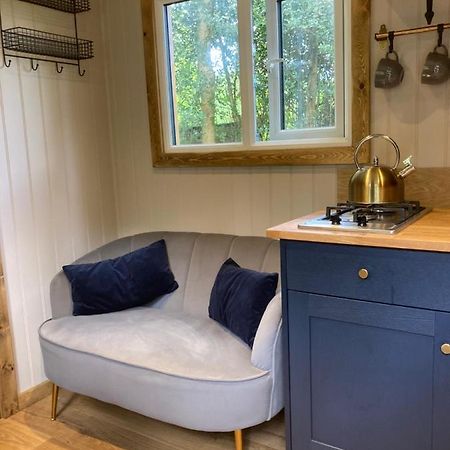 Herdwick Shepherd Hut إكزيتر المظهر الخارجي الصورة
