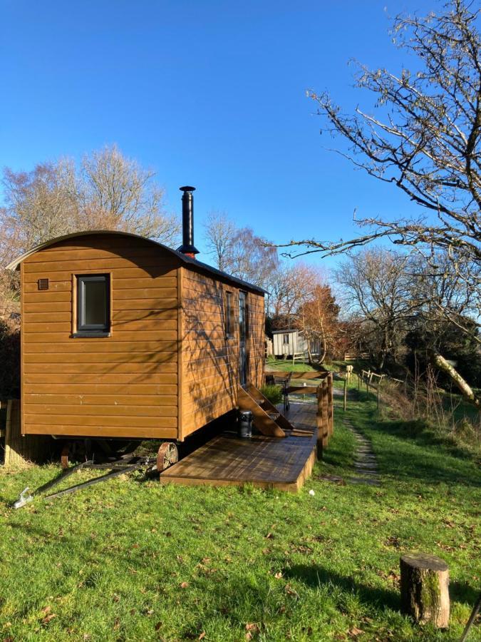 Herdwick Shepherd Hut إكزيتر المظهر الخارجي الصورة