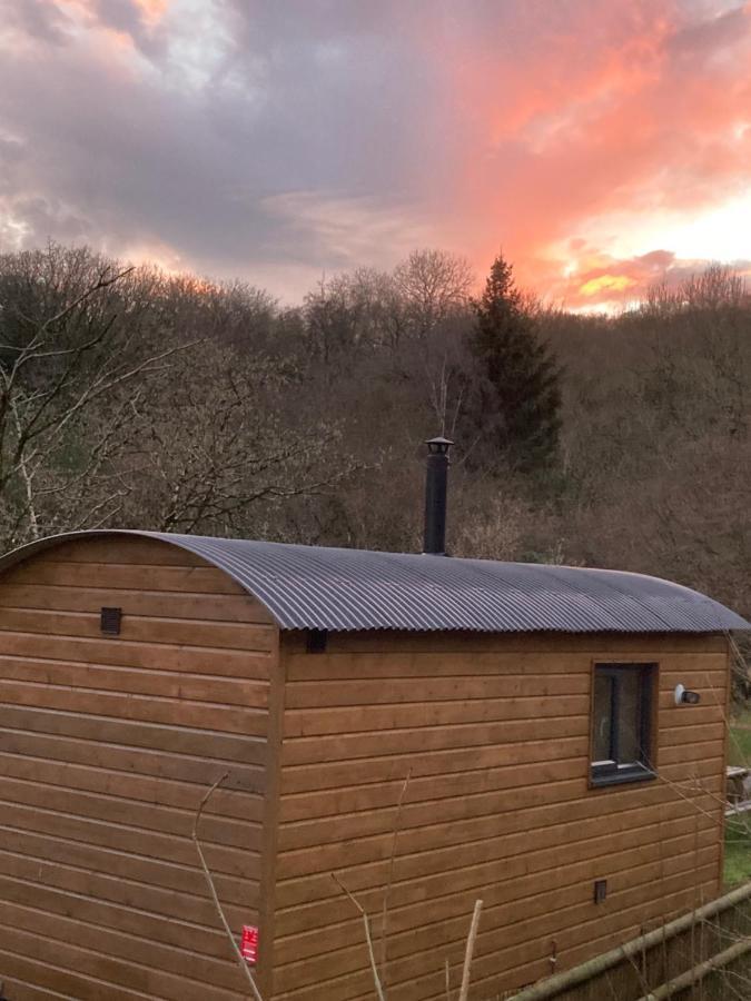 Herdwick Shepherd Hut إكزيتر المظهر الخارجي الصورة